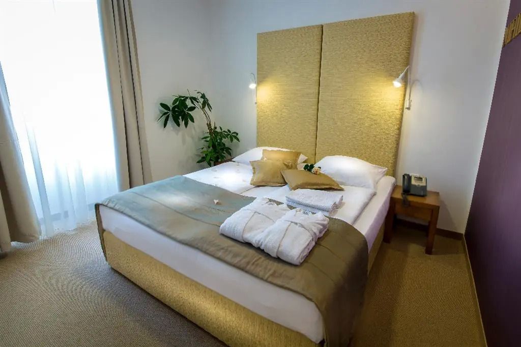 Zdraviliski Dvor - pokój