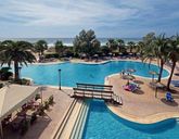 Sol Milanos Pinguinos