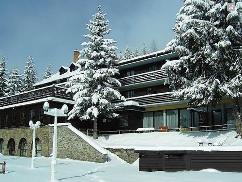 Sport Alpinum