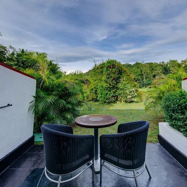 Cinnamon Citadel – 2026-05-11 - Zdjęcie 2