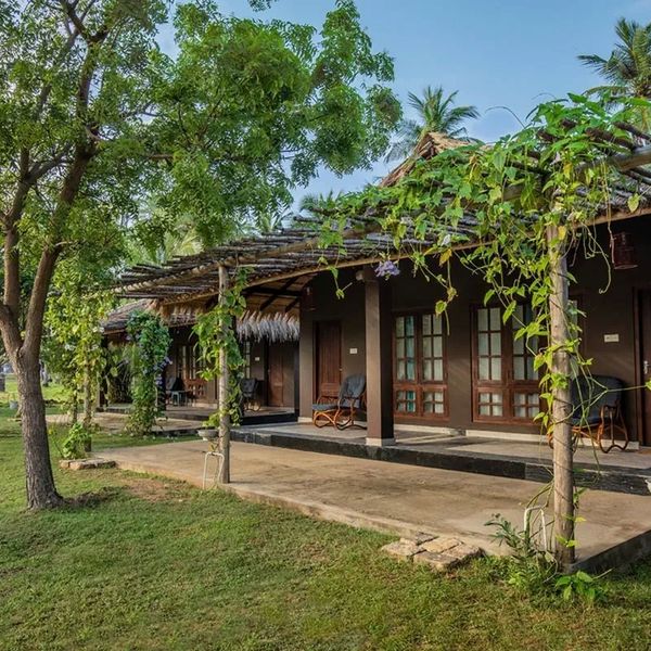 Club ManGo - Eco Chic Resort
