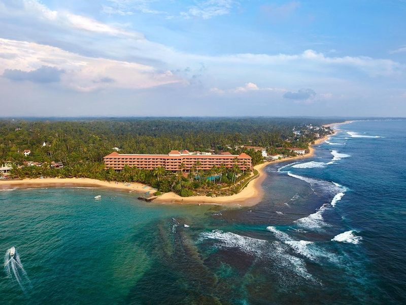 Hikka Tranz by Cinnamon (ex Chaaya Tranz)