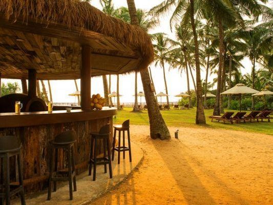 drink bar