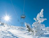 St. George Ski & Holiday