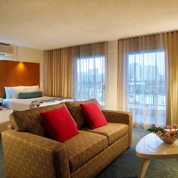 Oasis ex Aqua Oasis – 2026-01-23 - Zdjęcie 3