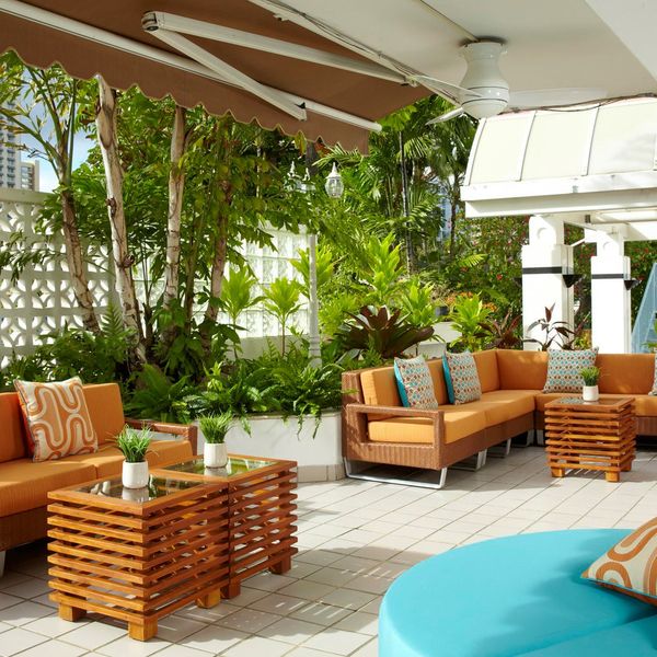 Oasis ex Aqua Oasis – 2026-01-23