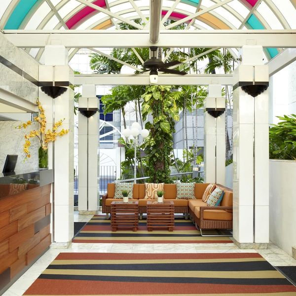 Oasis ex Aqua Oasis – 2026-01-23 - Zdjęcie 2