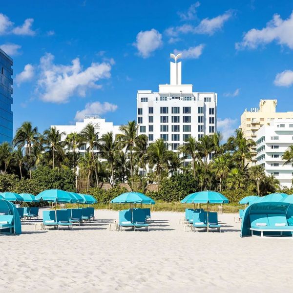 The Palms (Miami Beach)