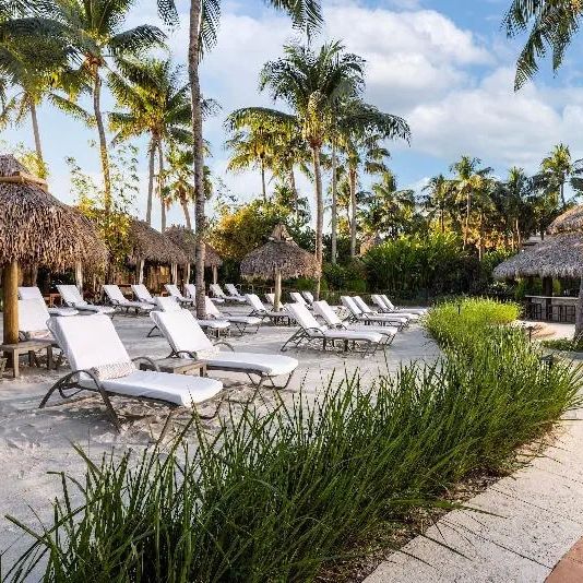 The Palms (Miami Beach)