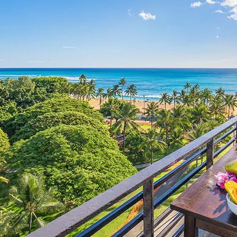 Waikiki Grand – 2026-05-29 - Zdjęcie 3