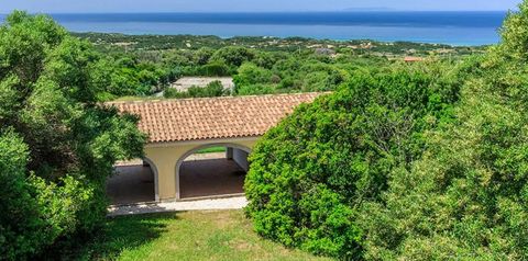 teren hotelu, obiekt