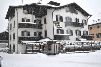 Stella Alpina (Fai Della Paganella)