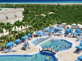 Stella Paradise