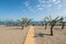 plaża