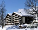 Sunstar Alpne Grindelwald