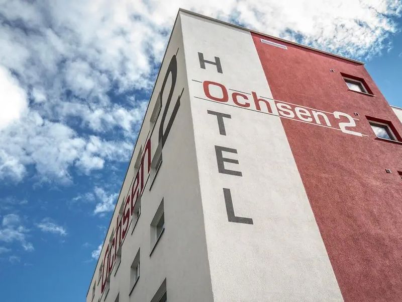 Ochsen 2