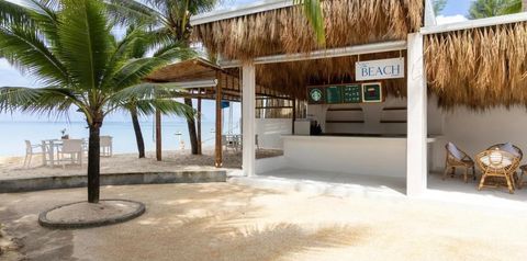 beach bar, kawiarnia