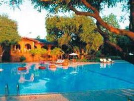 Bungalowy The Regent