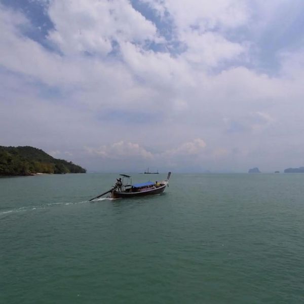 Cape Kudu – 2026-04-22 - Zdjęcie 3