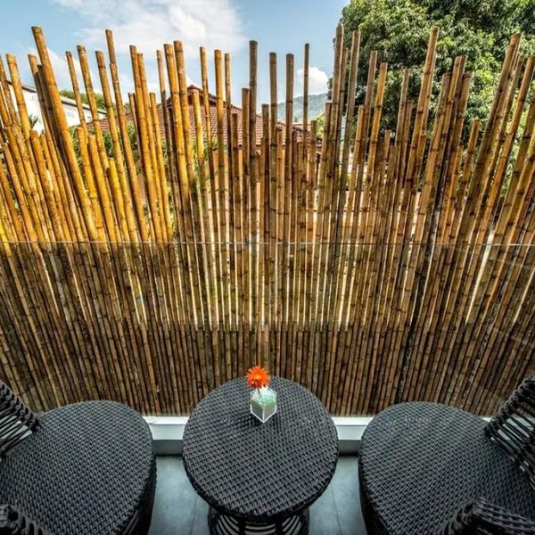 Clover Patong – 2026-09-07 - Zdjęcie 2