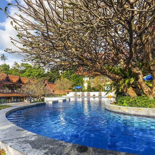 Diamond Cottage – 2026-09-04 - Zdjęcie 2