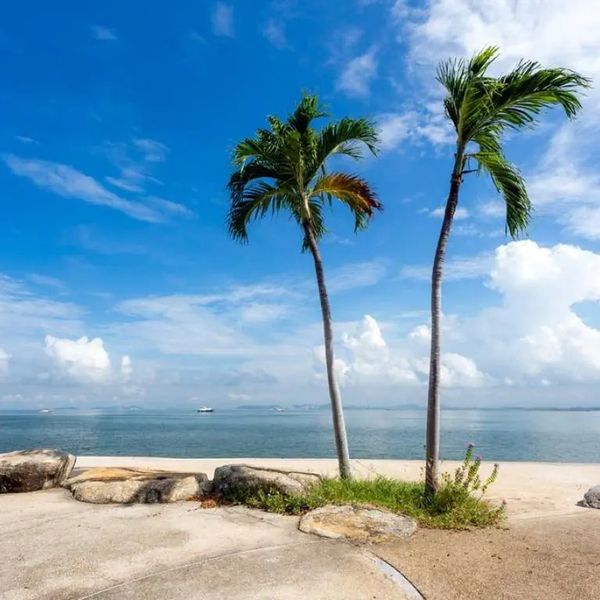 Garden Sea View Resort - zdjęcie 4