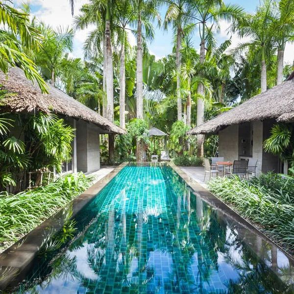 Indigo Pearl – 2026-06-07 - Zdjęcie 2