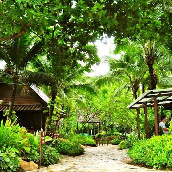 Rabbit Resort Pattaya