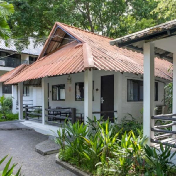 Sunshine Garden – 2026-05-14 - Zdjęcie 3