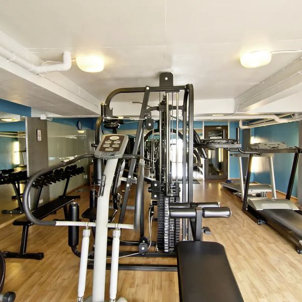 Sunshine Vista – 2026-05-25 - Zdjęcie 2