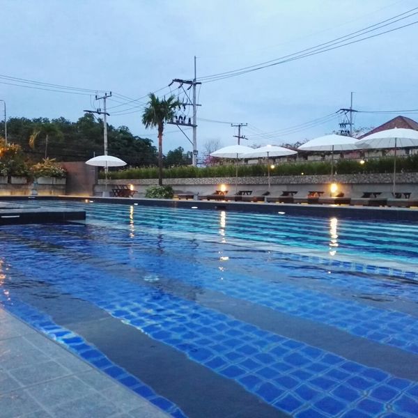 The Mangrove – 2026-05-19 - Zdjęcie 2