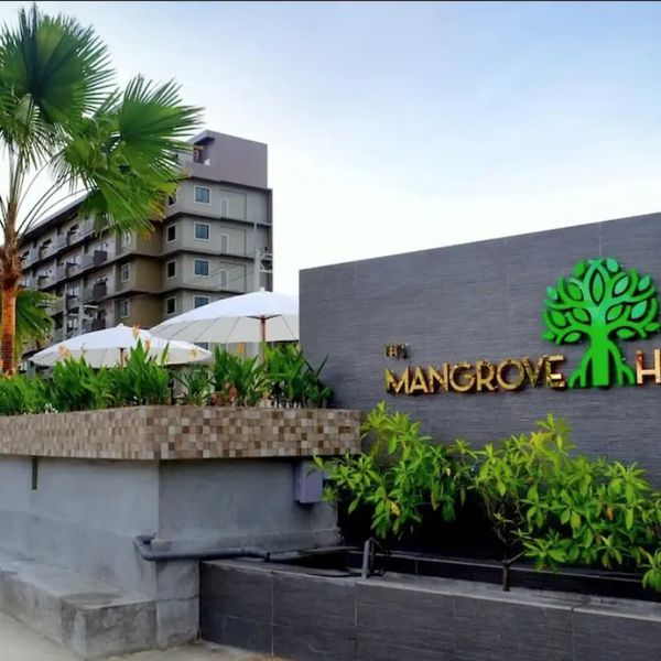 The Mangrove – 2026-05-19 - Zdjęcie 3