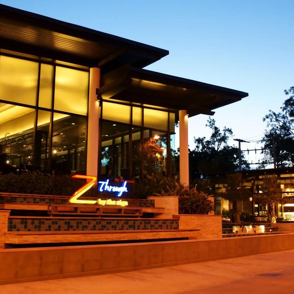 Z Through By The Zign – 2026-05-13 - Zdjęcie 3