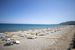 plaża