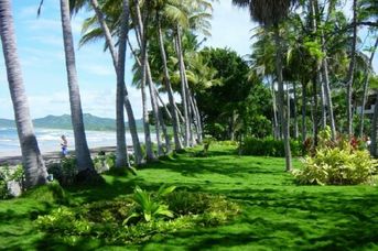 Tamarindo Diria Beach Resort