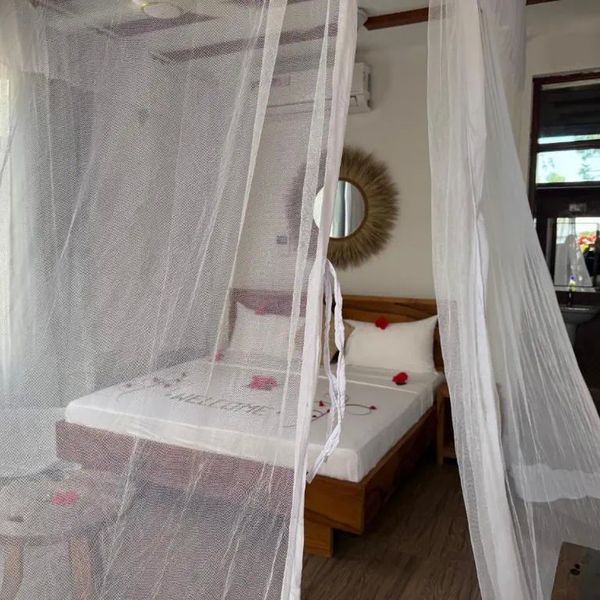 Boutique Garden View – 2026-05-07 - Zdjęcie 3