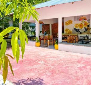 zdjęcie oferty Papaya Guest House