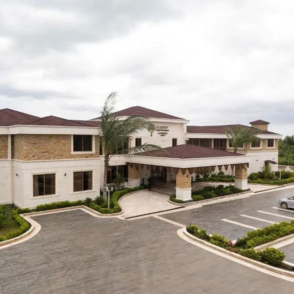 Treetop by Eight Continents Zanbreeze – 2026-03-23 - Zdjęcie 2