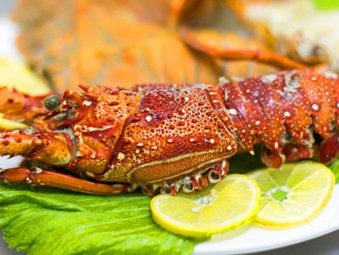 restauracja