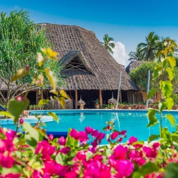 Zanzibar Queen – 2026-03-31 - Zdjęcie 3