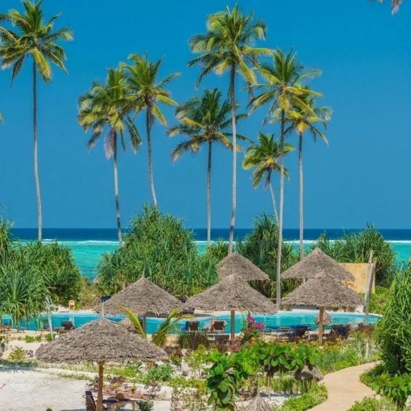 Zanzibar Queen – 2026-03-31 - Zdjęcie 2