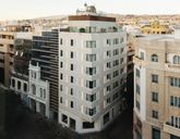 Taro by Nook Collection 