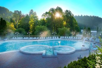 Terme Topolsica Vesna