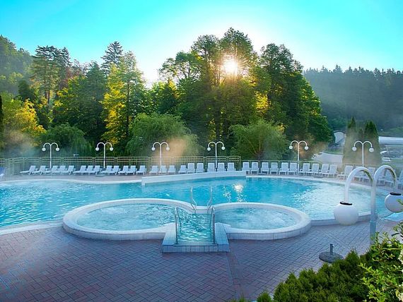 Terme Topolsica Vesna