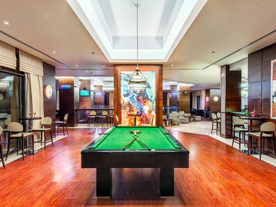 Miniaturka 43