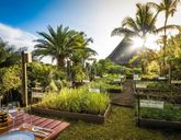 The Oberoi Beach Resort