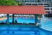 pool bar