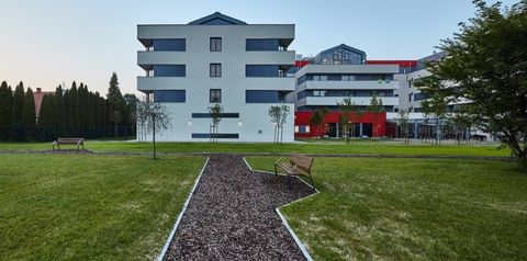 obiekt, teren hotelu