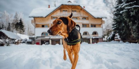 teren hotelu, obiekt