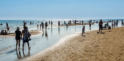 plaża